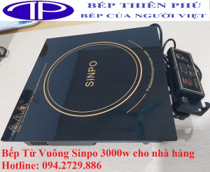 bep-tu-vuong-sinpo-3000w-cho-nha-hang-300x246.png